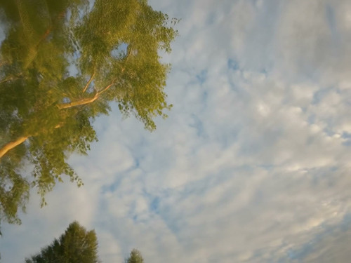 frame horizontal 003.jpg