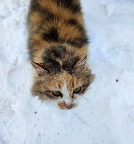 G ZUTSFWYAA744d?format=jpg.jpg