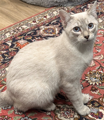 615215719 10162459031930036 6996952190096686805 n.jpg