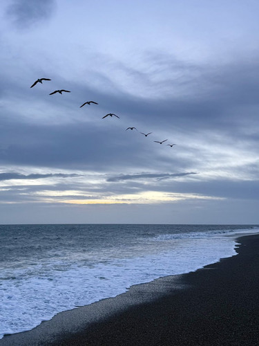 G c49lgXEAE9pXN?format=jpg.jpg