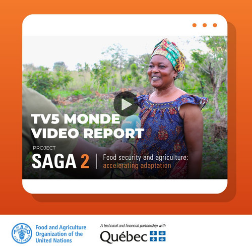 G eXReeWEAAcgEQ?format=jpg.jpg