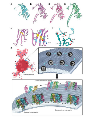 G eyQfxWcAALm4 ?format=jpg.jpg