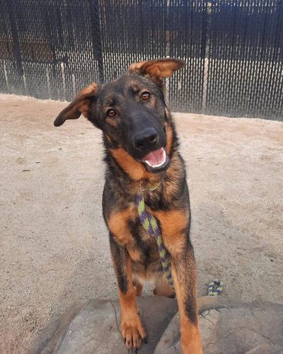 G ep rPXYAAPkpc?format=jpg.jpg