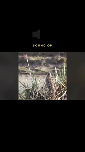 nMWKwy50NxyA 3CB.jpg