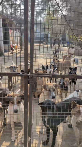 NVxrdjL WmJwbq2M.jpg