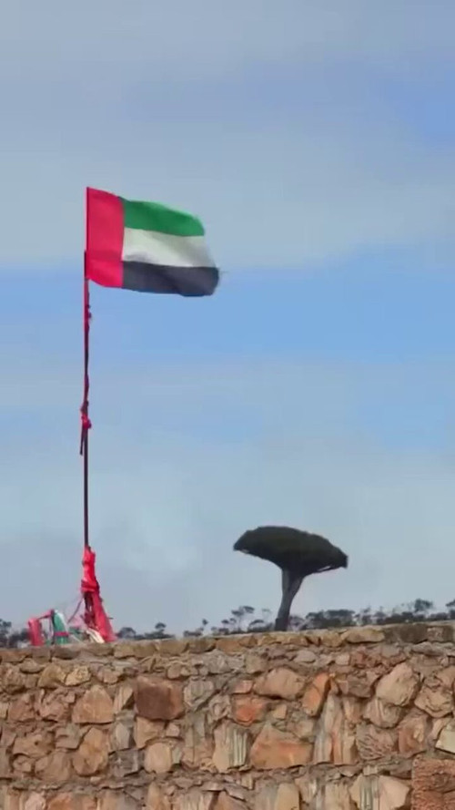 nhiu oDkSD 8o898.jpg