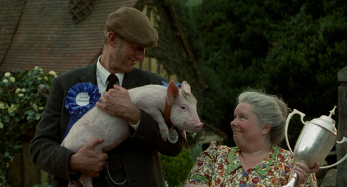 Babe Pig.in.the.City.1998.2160p.UHD.BluRay.CZ EN.DTS HD.MA5.1.DoVi.HDR.x265 E.mkv 20260111 105602.29.jpg