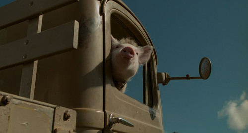 Babe Pig.in.the.City.1998.2160p.UHD.BluRay.CZ EN.DTS HD.MA5.1.DoVi.HDR.x265 E.mkv 20260111 105616.52.jpg