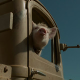 Babe Pig.in.the.City.1998.2160p.UHD.BluRay.CZ EN.DTS HD.MA5.1.DoVi.HDR.x265 E.mkv 20260111 105616.52