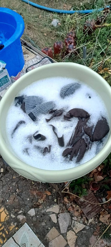 signal 2025 10 01 144709 003