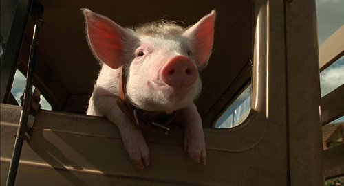 Babe Pig.in.the.City.1998.1080p.BluRay.CZ EN.DTS HD.MA5.1.x265 My.mkv 20260111 111939.075