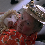 Babe Pig.in.the.City.1998.1080p.BluRay.CZ EN.DTS HD.MA5.1.x265 My.mkv 20260111 111952.446
