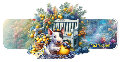 ssy LemonBerryPopcGorgeousArie vi