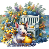 ssy LemonBerryPopcGorgeousArie vi