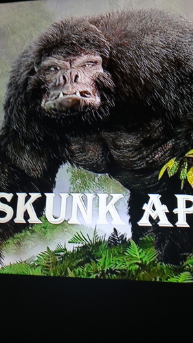 temp 1768127385058.jpg