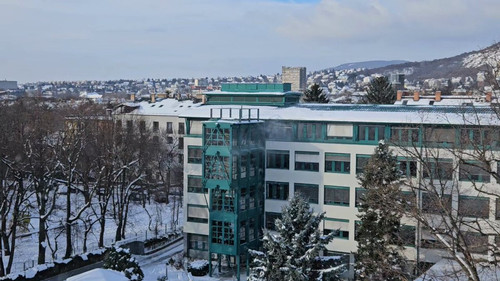 t FczrtxD8NpdzVe.jpg