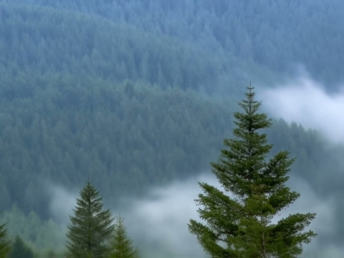 frame horizontal 009.jpg