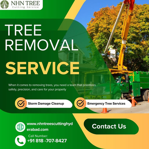 nhn tree removal services image.jpg