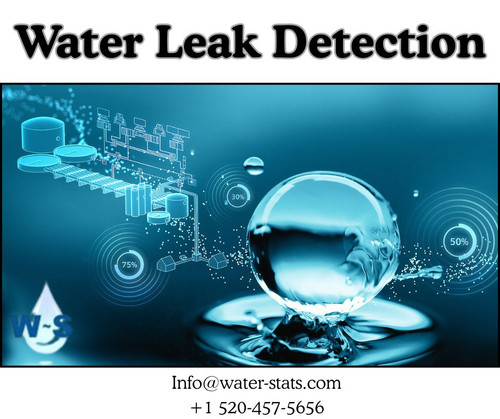 Water Leak Detection (3).jpg