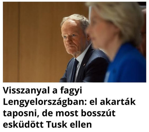 615268514 907688465115485 2667181749280411309 n.jpg?stp=dst jpg s565x565 tt6& nc cat=105&ccb=1 7& nc.jpg