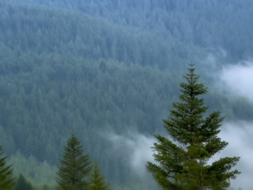 frame horizontal 008.jpg