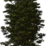QSRV6cG5Hvp4emp1768136410 1768136414.png