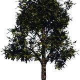 ORrwADCMkOUbzLG1768136342 1768136388.png