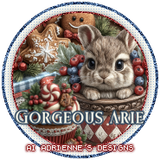  WinterWonderlandaGorgeousArie vi