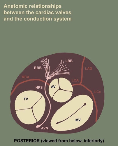 F7vT624a8AAB0 0?format=jpg.jpg