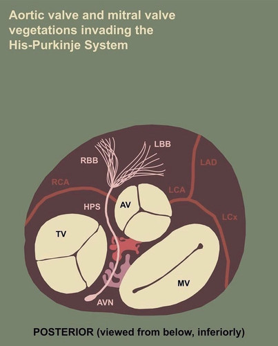 F7vT626bcAAnswh?format=jpg.jpg
