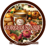 rissy XmasGiftBoxaGorgeousArie vi