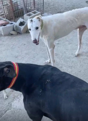 G Zk0eLWwAAZYjV?format=jpg.jpg