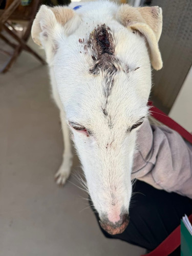 G Zk0eTW8AAJCLY?format=jpg.jpg