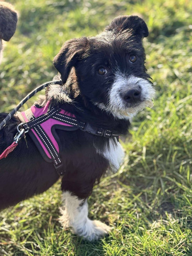 G PfddhXMAAakVB?format=jpg.jpg