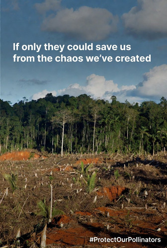 G cOXVsXMAARQI9?format=jpg.jpg