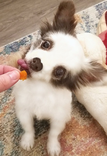 G ZzOE3XsAA U9R?format=jpg.jpg