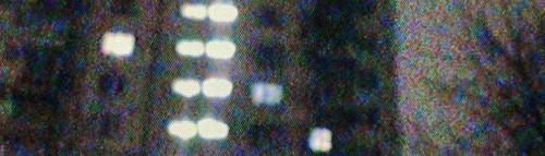 IMG 20260112 211159 234.jpg