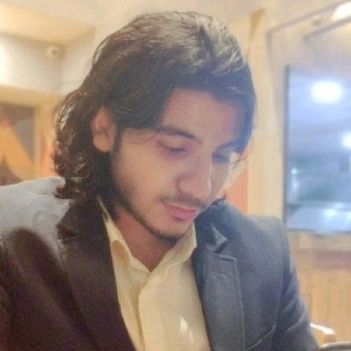 akbar professional.jpg