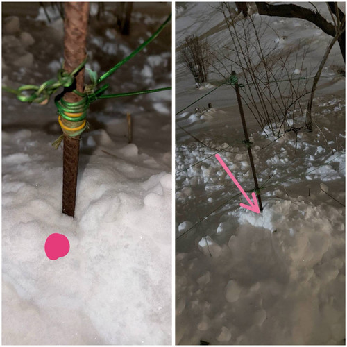 996BCD05 23AF 4583 9DA1 9F99A0733AC0.jpg