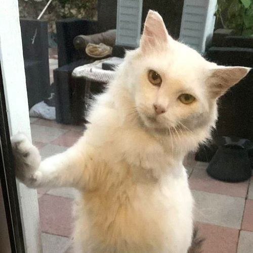 G cXN5TaUAEM2AN?format=png.png