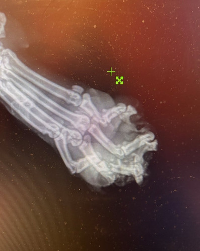 G dg56wWcAADD0n?format=jpg.jpg