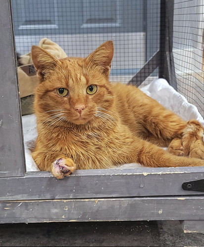 G dg579WcAAIGG5?format=jpg.jpg