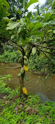 G cMqBNW4AAEb p?format=jpg.jpg