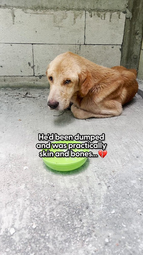 ZnEzXqROM uKCmXO.jpg