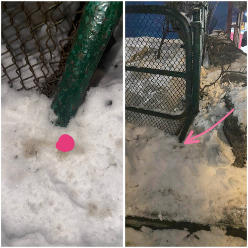 8B2178BA 158C 47CB 98B2 9436198A7CB4.jpg