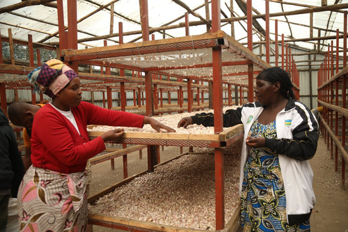 G dFUZRWgAAWBww?format=jpg.jpg