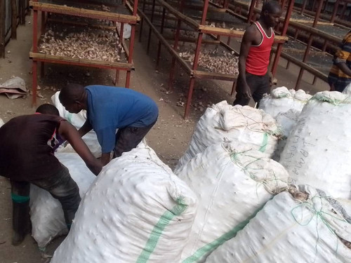 G dFLR4WgAA mx1?format=jpg.jpg