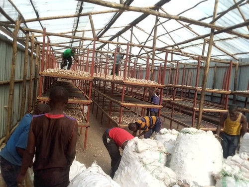 G dFIp1XMAAu0r1?format=jpg.jpg