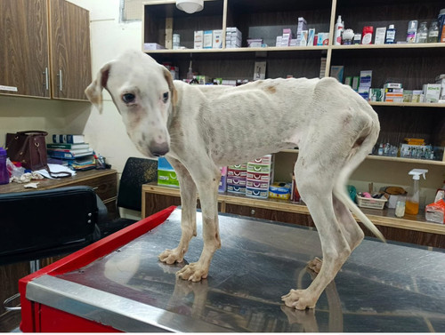 G a2h3MWYAEqDFU?format=jpg.jpg