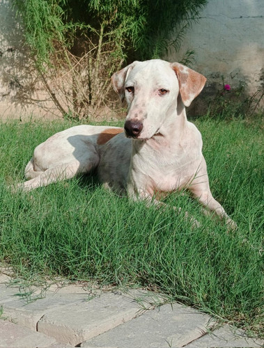 G a2iBEWkAE0GeU?format=jpg.jpg